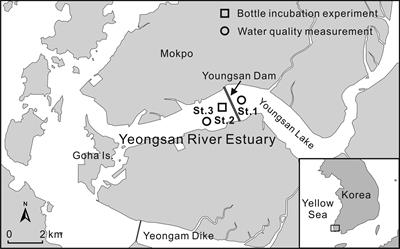 High ammonium recycling in an anthropogenically altered Yeongsan River Estuary, South Korea